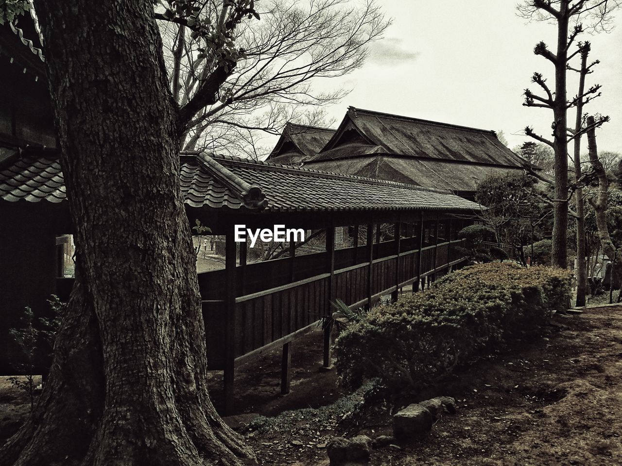 VIEW OF HOUSE AGAINST BARE TREE