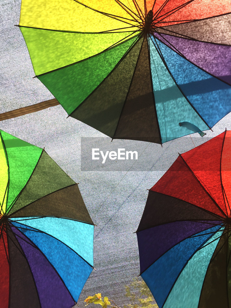 Low angle view of multi colored umbrella