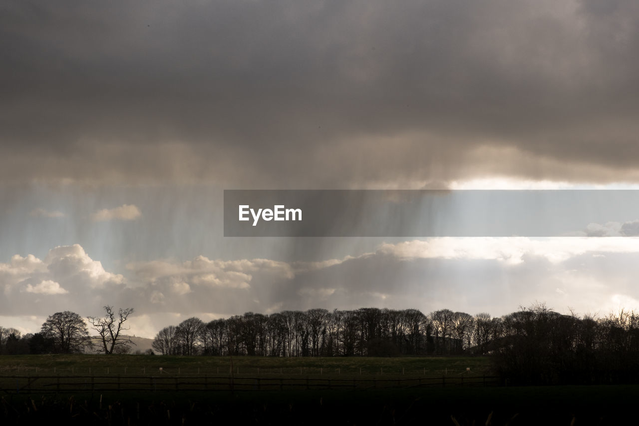 PANORAMIC SHOT OF FIELD AGAINST SKY