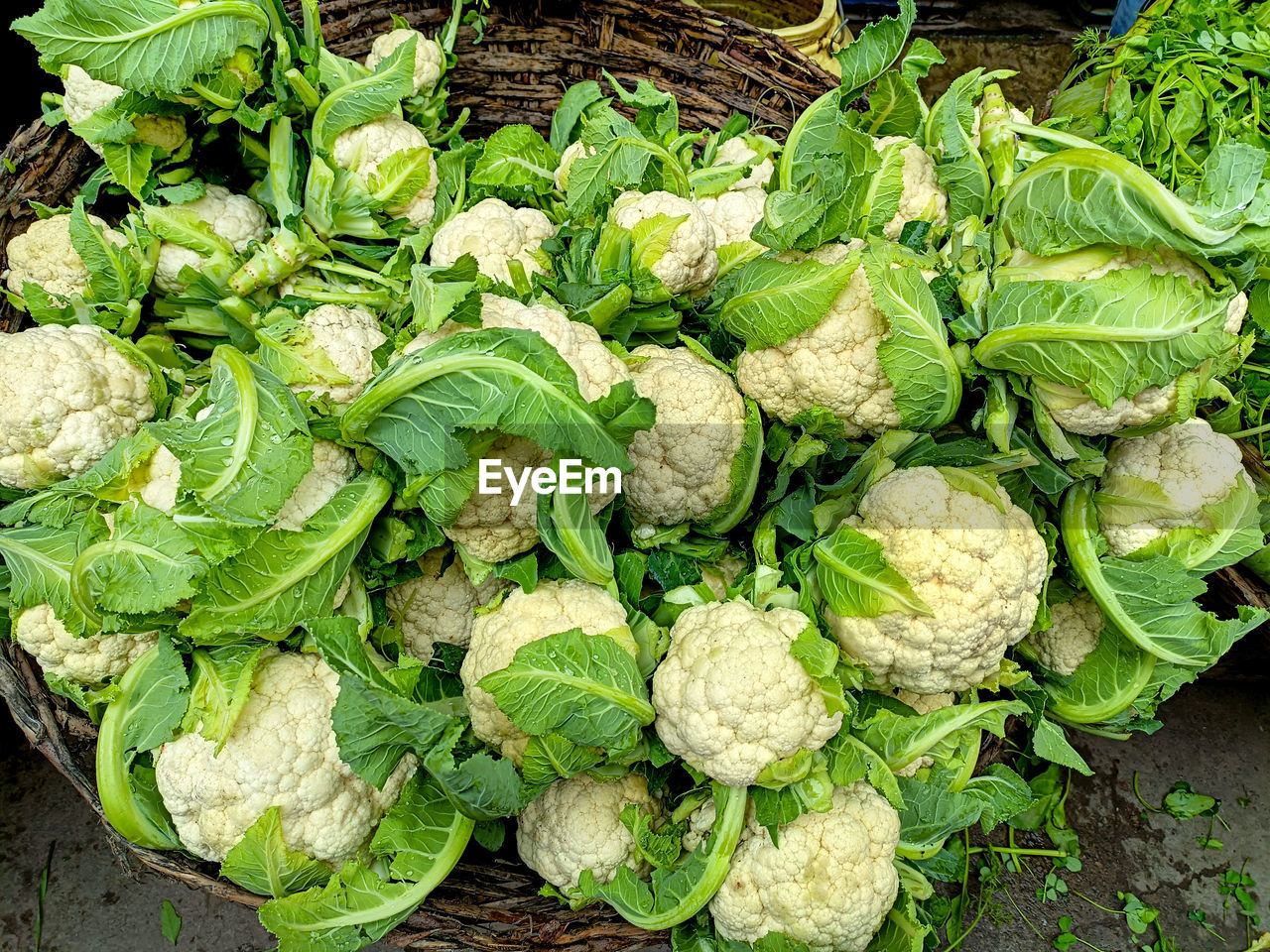 A group of cauliflower, fresh cauliflower for sale at a market in india