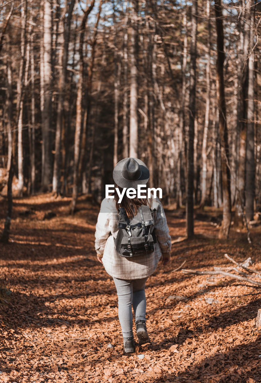 Rear view of girl wearing backpack, hiking in forest in autumn