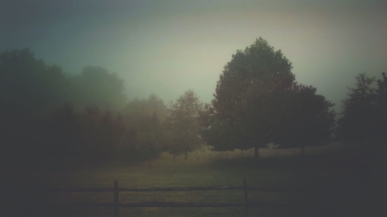 Scenic view of trees on field against sky in foggy weather