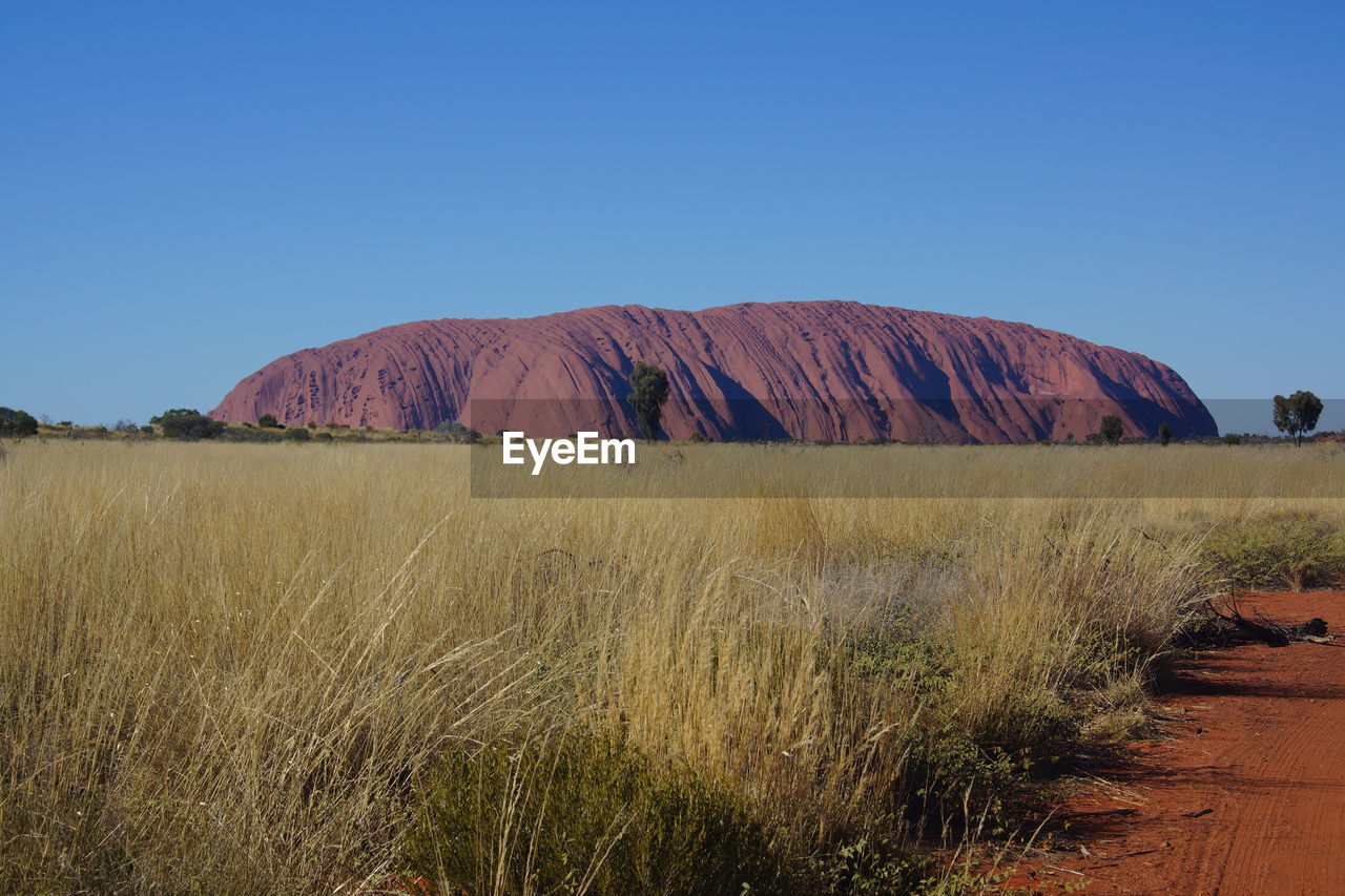 Scenic view of field against clear blue sky