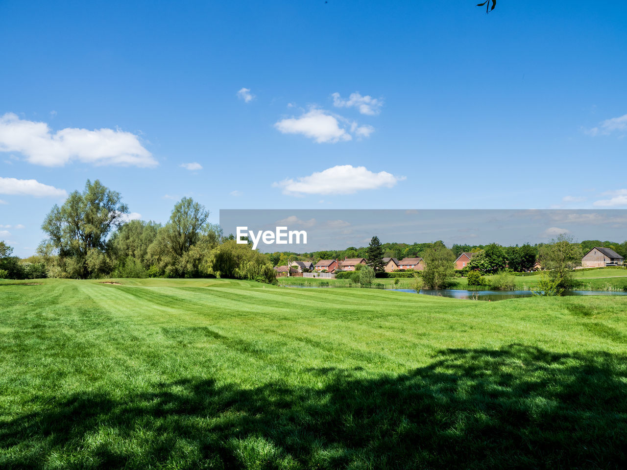 Empty golf course 