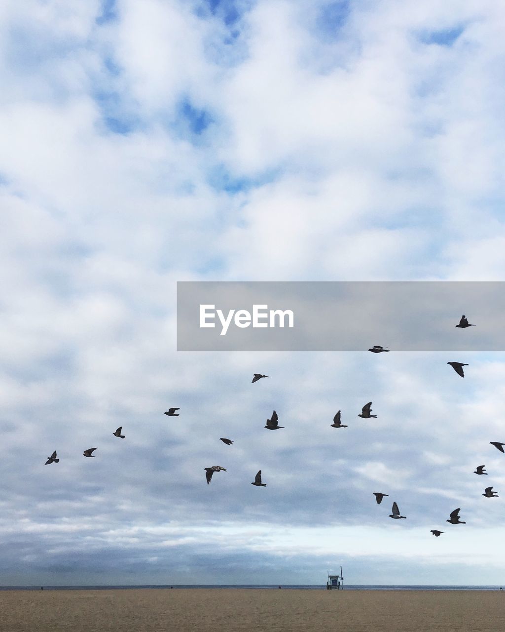 Birds flying over landscape against cloudy sky