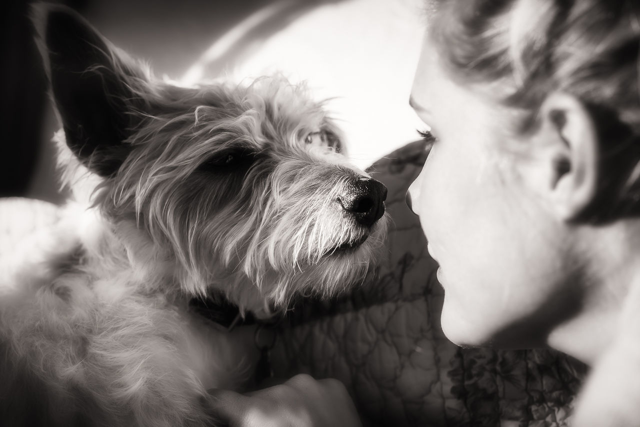 Close-up of dog and woman