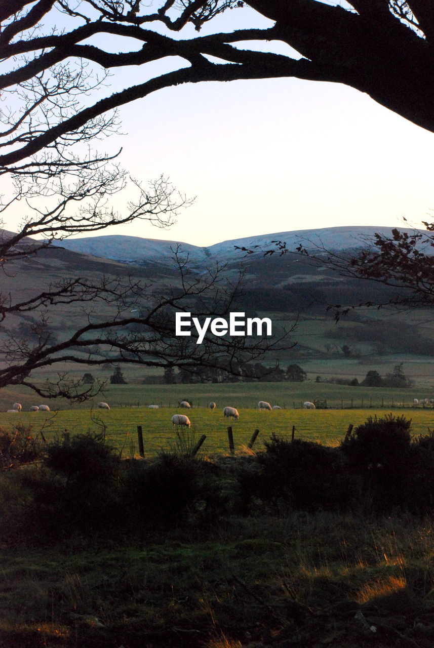 VIEW OF LANDSCAPE AGAINST SKY