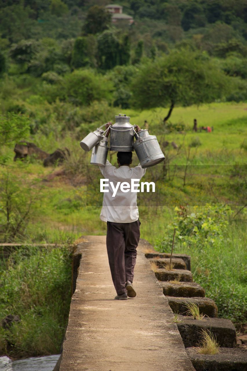 Rear view of man carrying container while walking on retaining wall