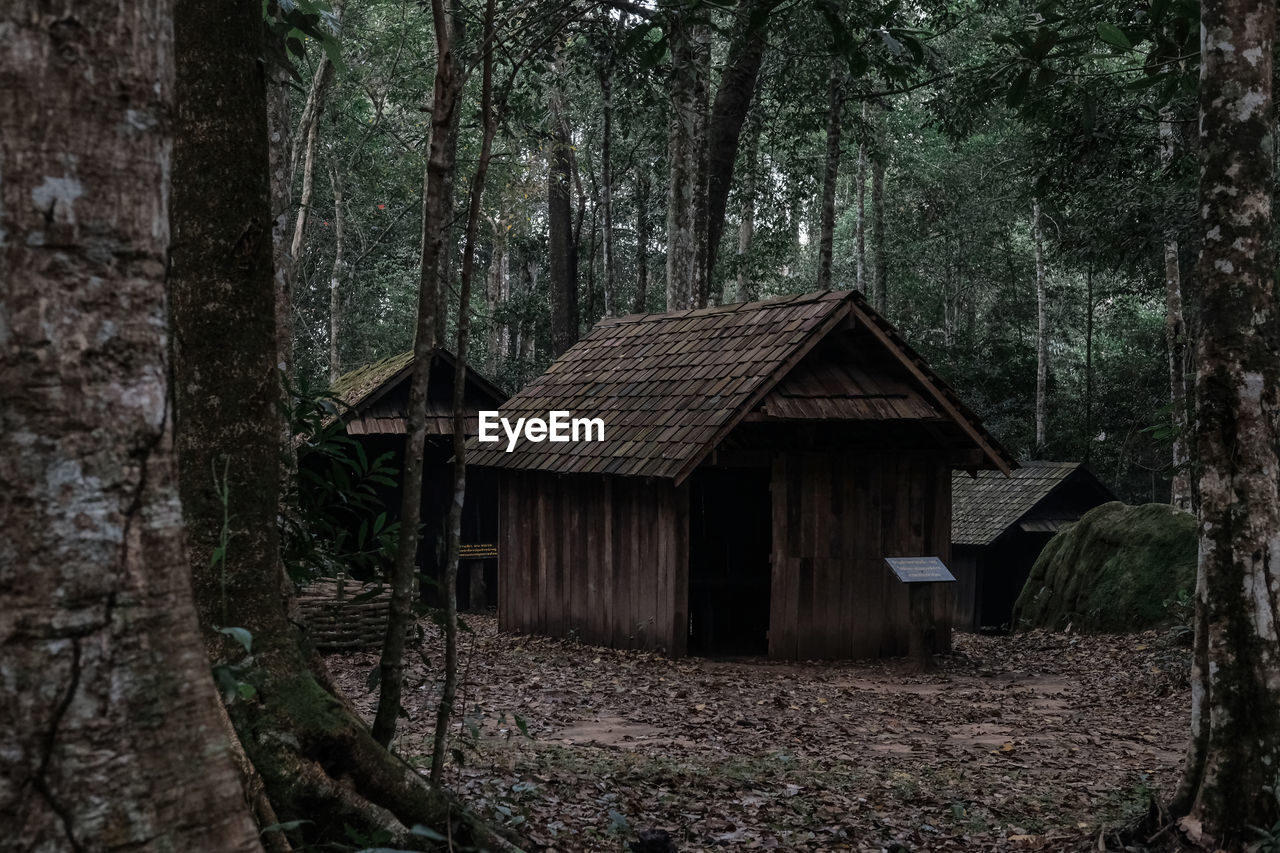 VIEW OF ABANDONED HOUSE IN FOREST