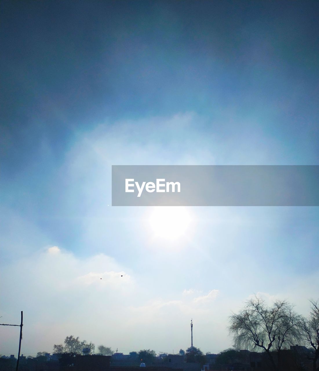 LOW ANGLE VIEW OF TREES AGAINST BRIGHT SUN