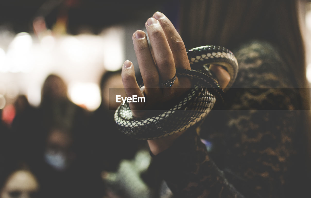 Close-up of woman hand holding snake