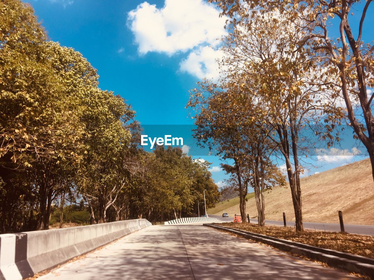 EMPTY ROAD BY TREES AGAINST SKY