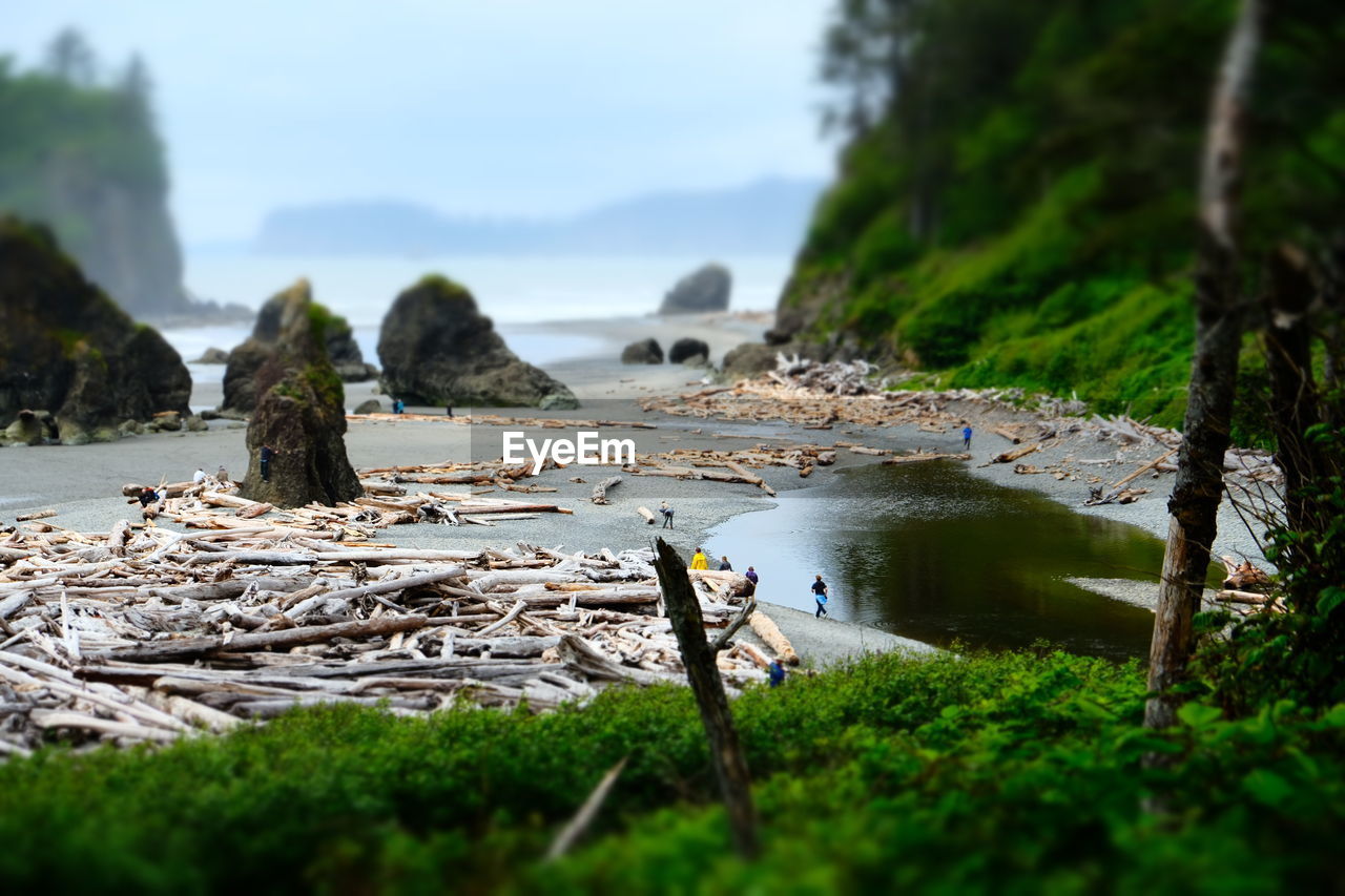 Scenic view of beach against sky