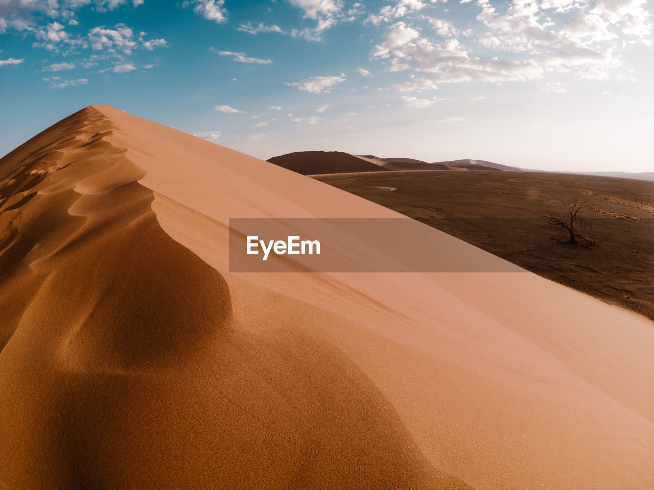 Sand dunes in desert against sky