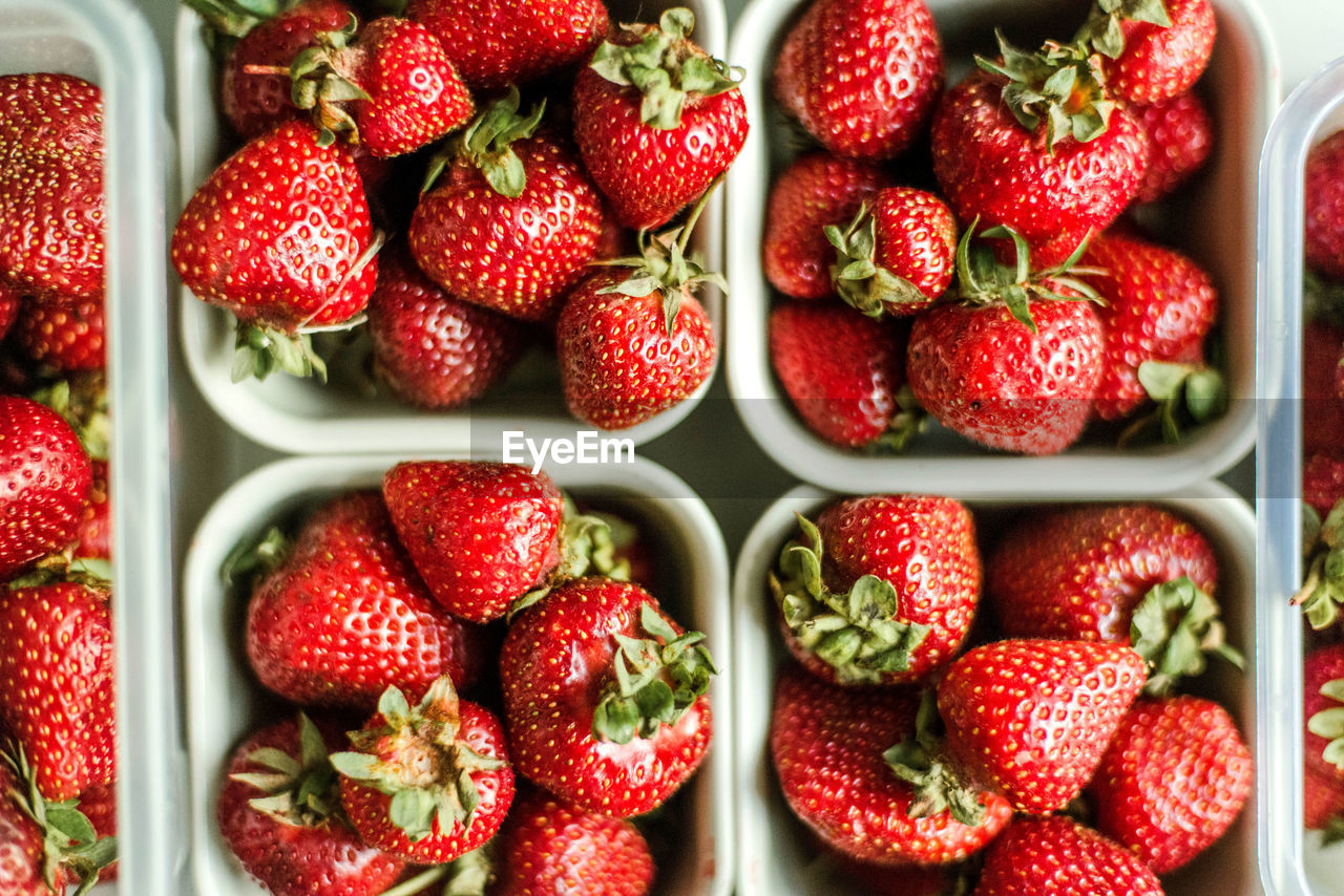 Directly above shot of strawberries