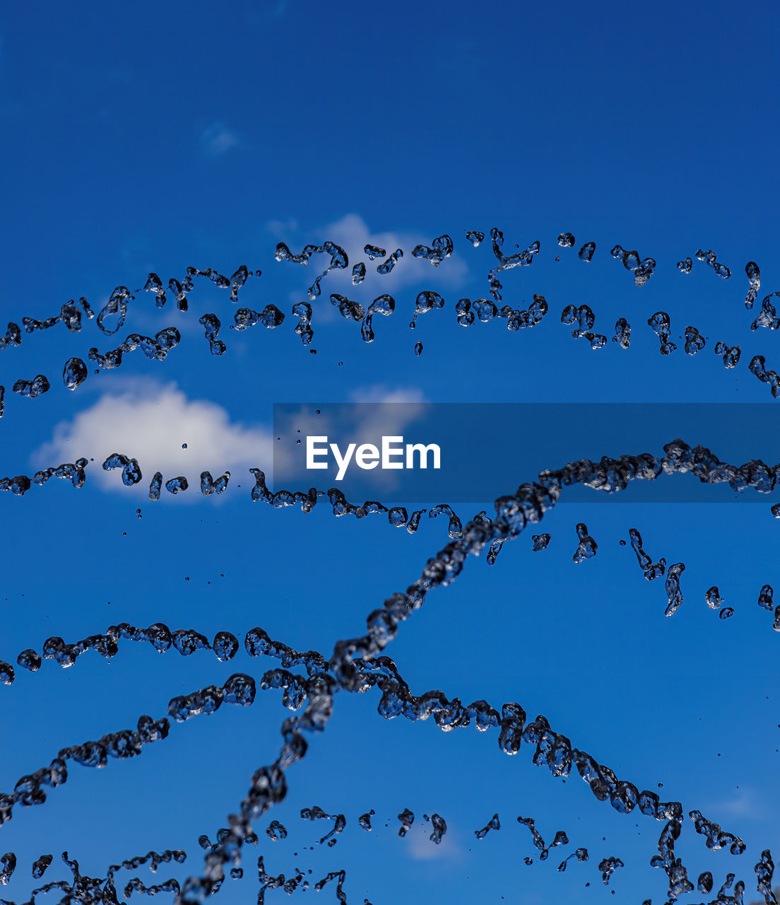 sky, flock, blue, flock of birds, large group of animals, animal, animal themes, wildlife, animal wildlife, nature, no people, group of animals, bird, branch, animal migration, flying, bird migration, clear sky, cloud, beauty in nature, outdoors, low angle view, line, motion, day, environment