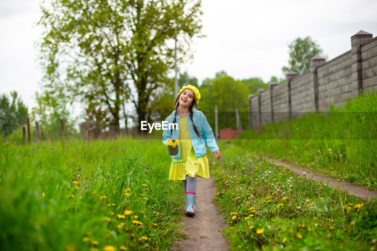 A happy little girl walks in the countryside along a path near a green lawn with dandelions