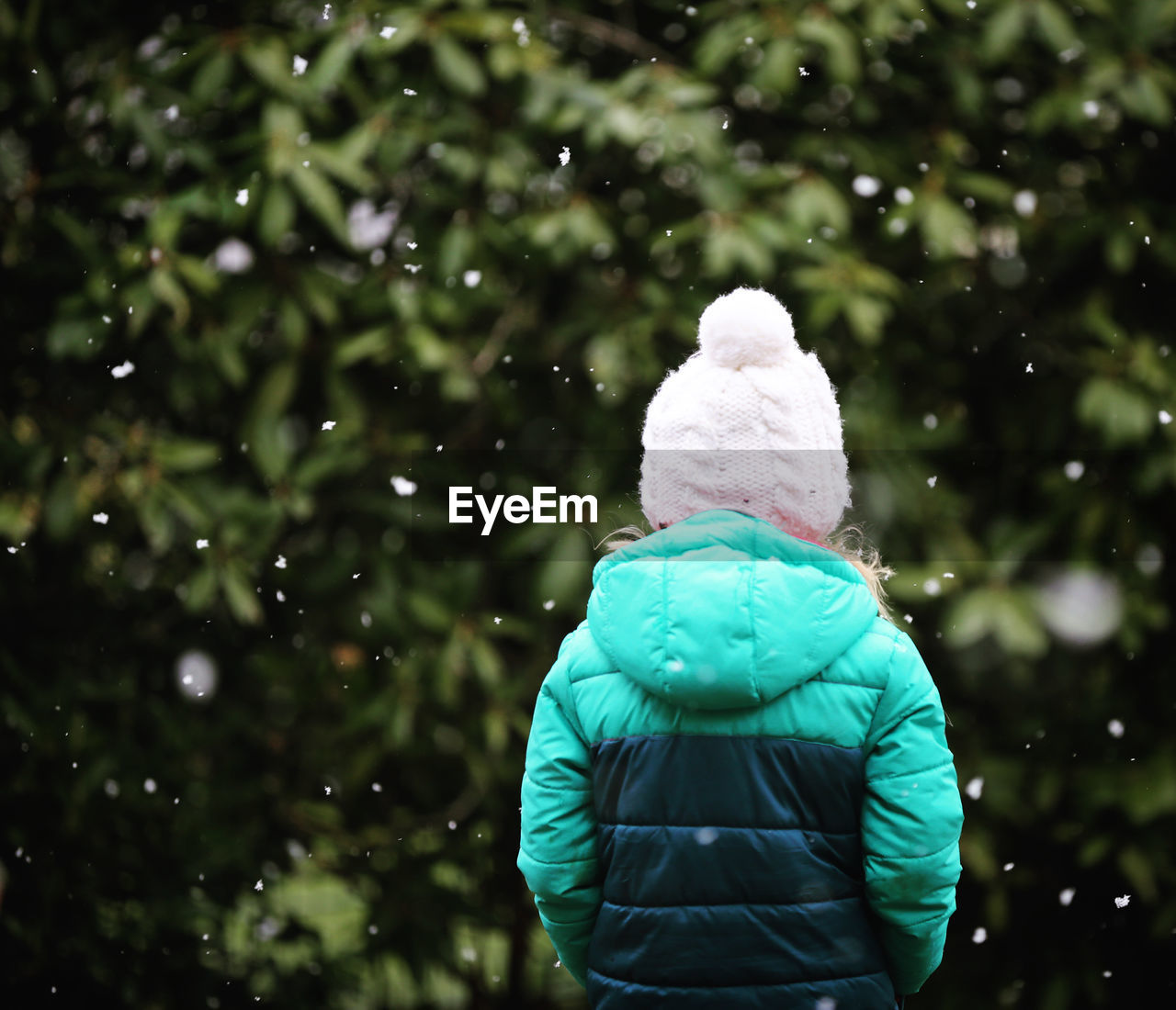 Rear view of women in snow