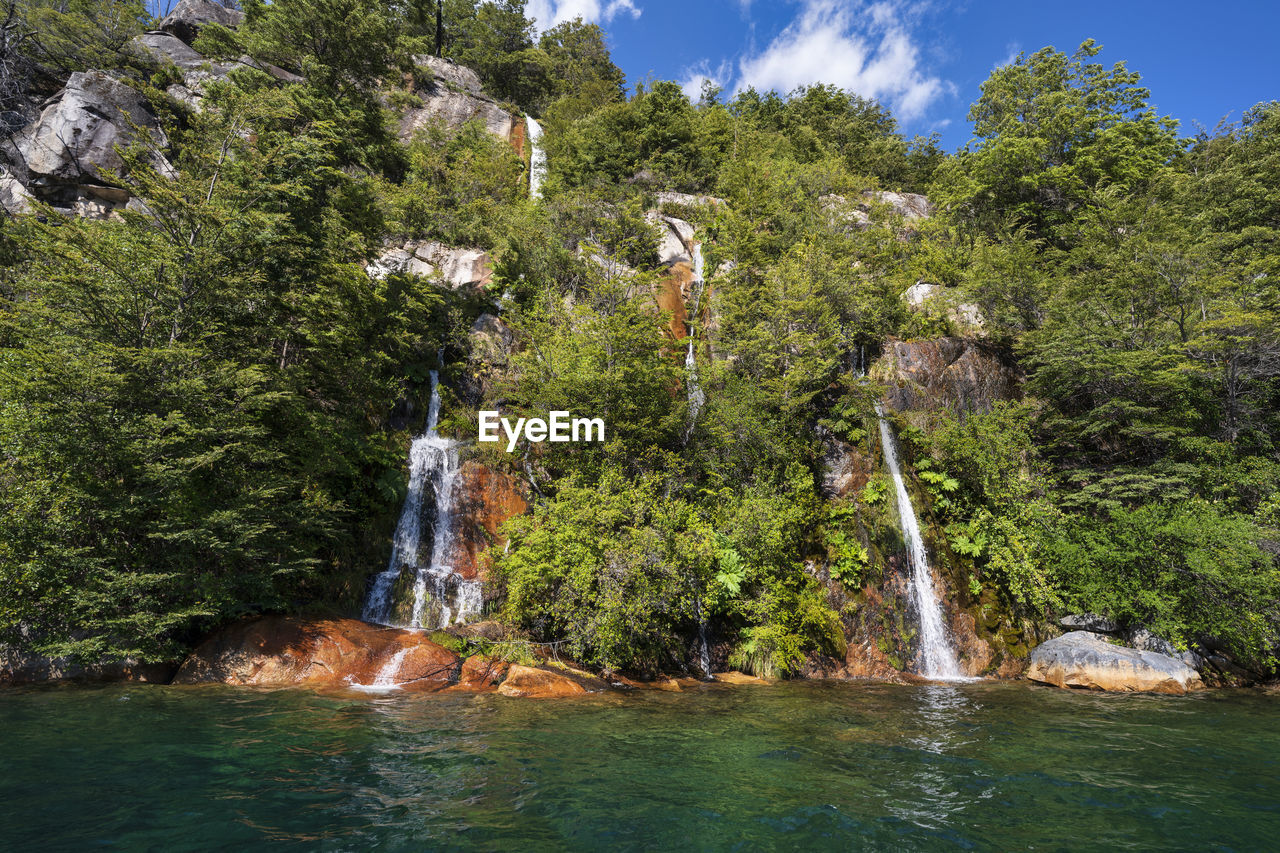 WATERFALL AMIDST TREES IN FOREST