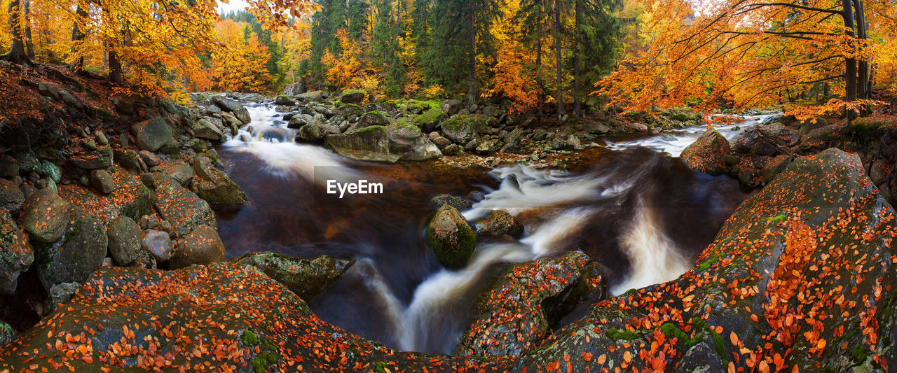 STREAM FLOWING THROUGH ROCKS IN FOREST