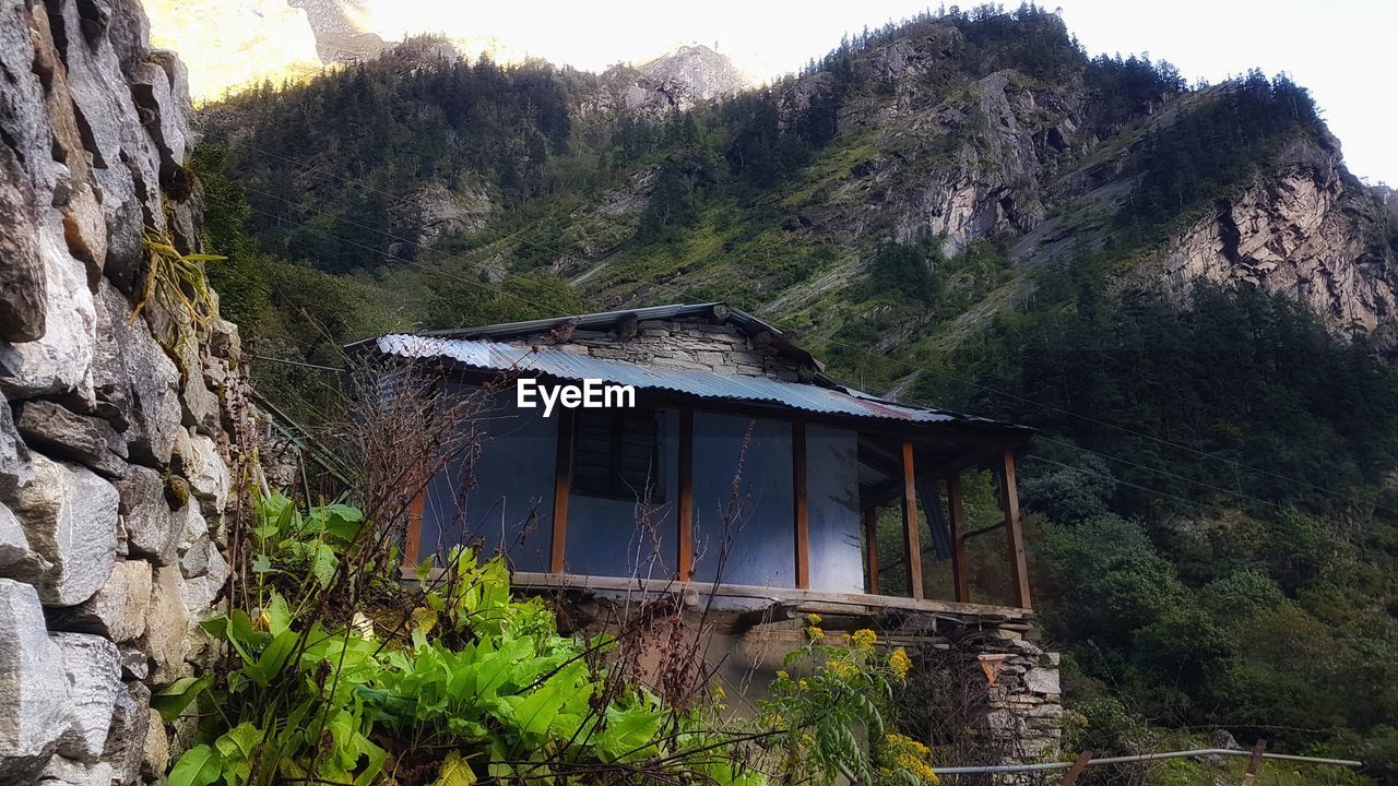 ABANDONED HOUSE IN FOREST