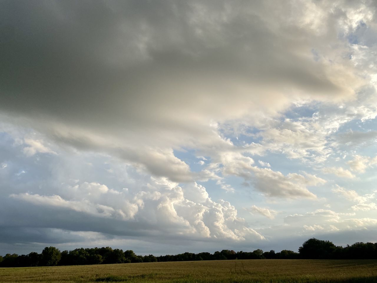 sky, cloud, environment, landscape, nature, horizon, plant, beauty in nature, field, land, scenics - nature, sunlight, storm, cloudscape, no people, dramatic sky, tree, prairie, plain, rural scene, grassland, grass, outdoors, dusk, storm cloud, agriculture, tranquility, day, thunderstorm, horizon over land, overcast, morning, tranquil scene