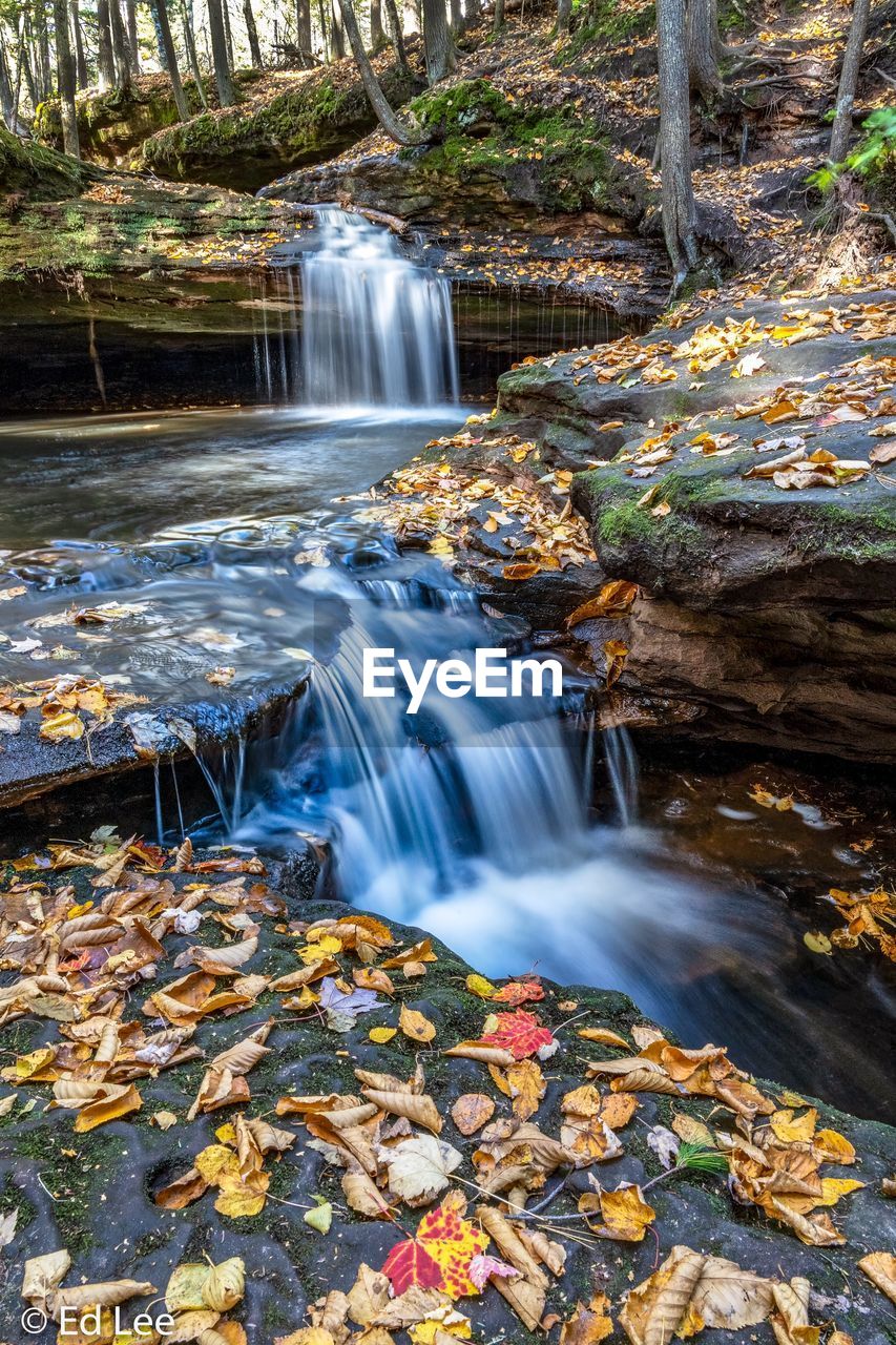 WATERFALL IN FOREST