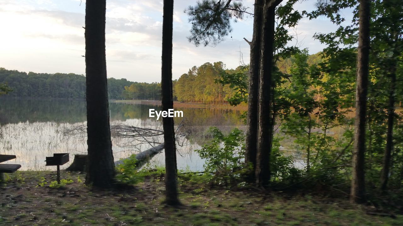 VIEW OF CALM LAKE