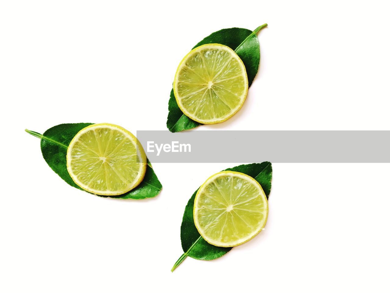 Fresh lemon slice on green leaves isolated on white background