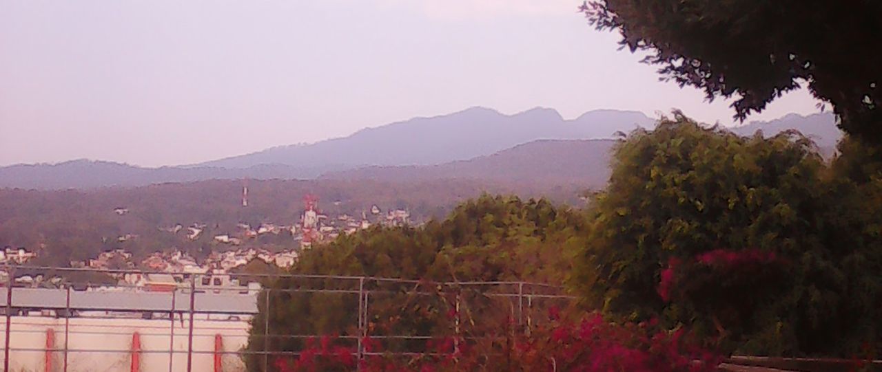 TREES ON LANDSCAPE AGAINST MOUNTAINS