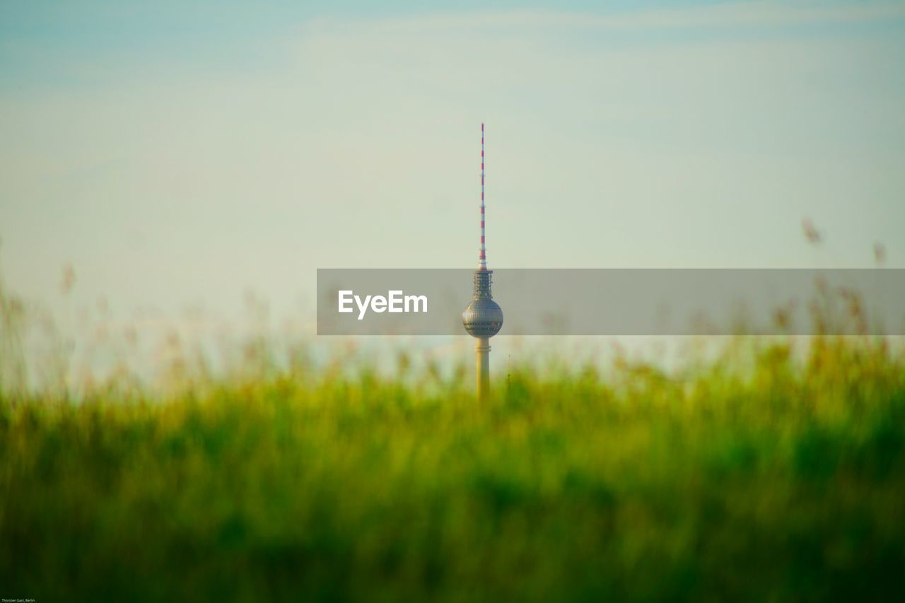 Fresh green grass in front of fernsehturm against sky