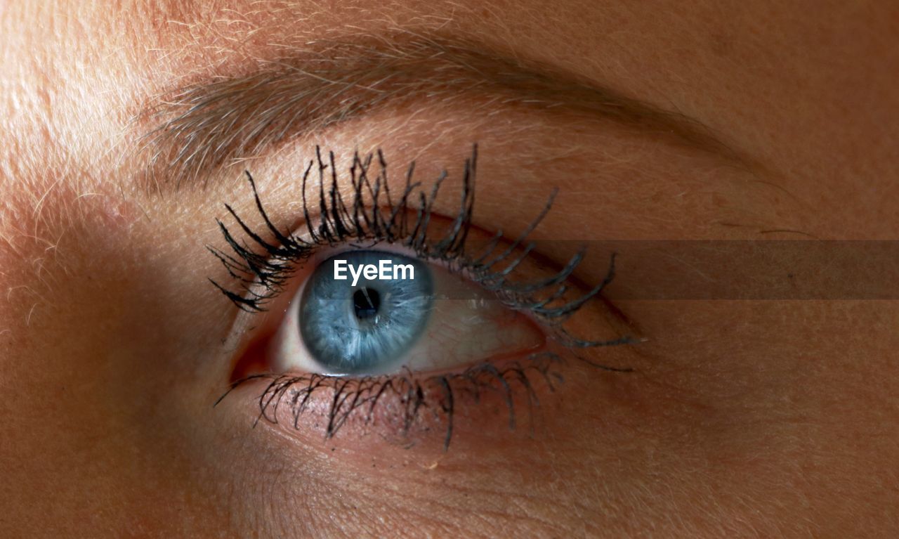Close up of woman blue eye
