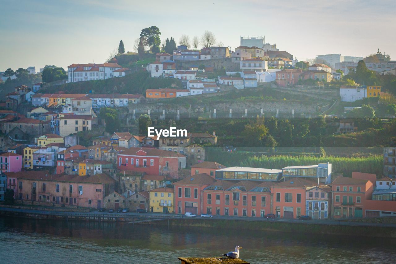 Buildings by river against sky in town