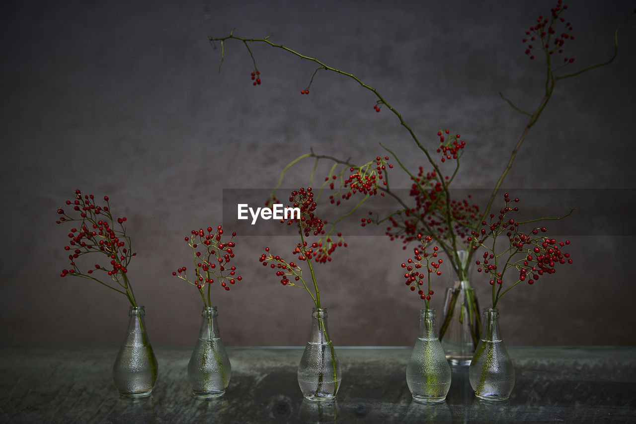 CLOSE-UP OF RED FLOWERS IN VASE