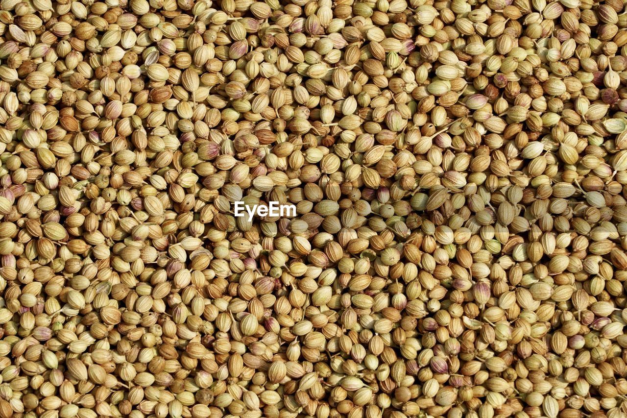 Coriander seeds. full frame view of dry coriander spices kept for sale in the market.