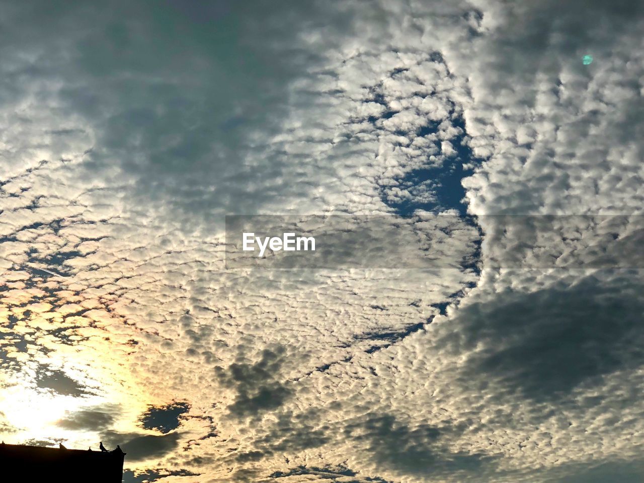 LOW ANGLE VIEW OF CLOUDS IN SKY