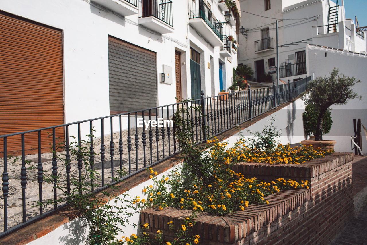 Staircase of building in city