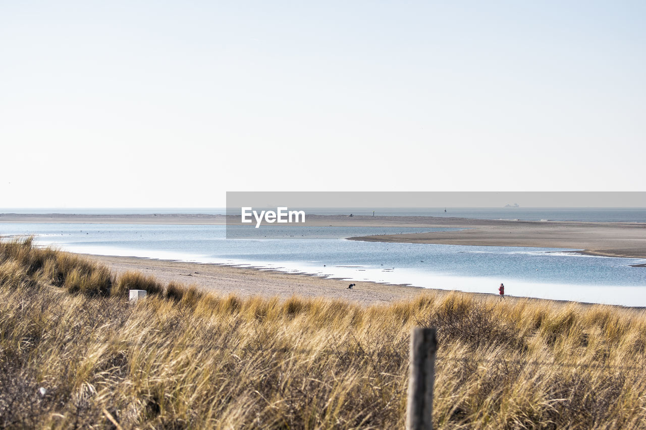 Scenic view of beach against clear sky