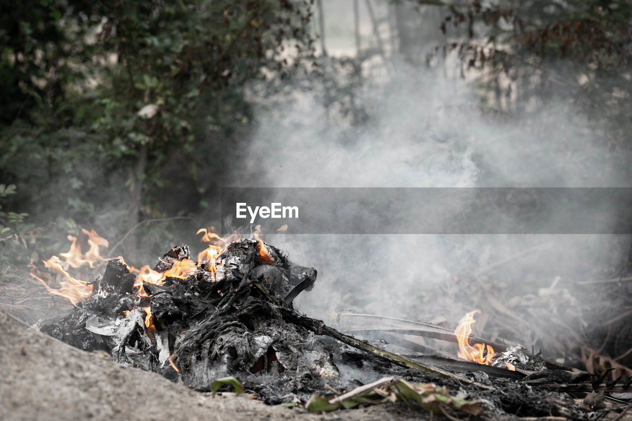 HIGH ANGLE VIEW OF BONFIRE ON LOG