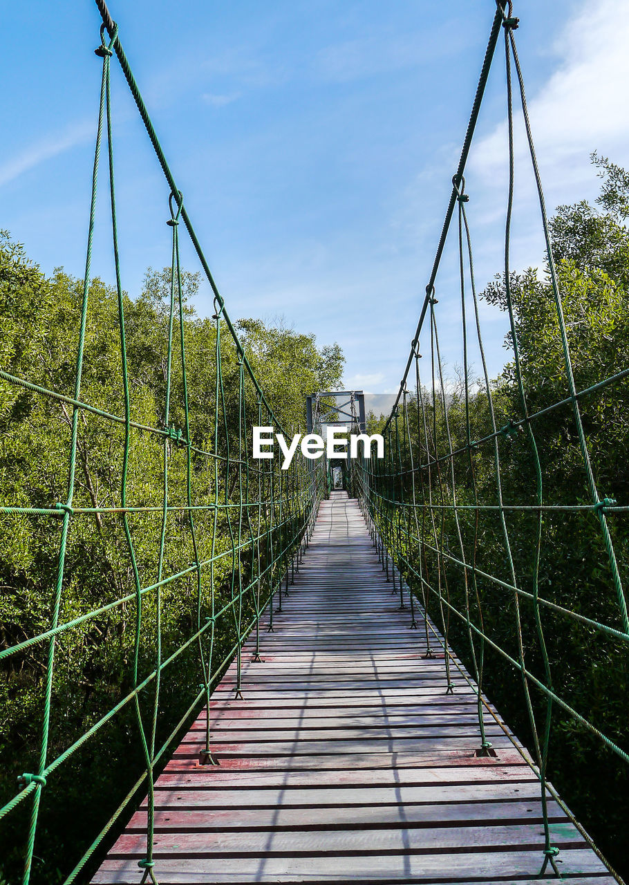 NARROW FOOTBRIDGE ALONG PLANTS