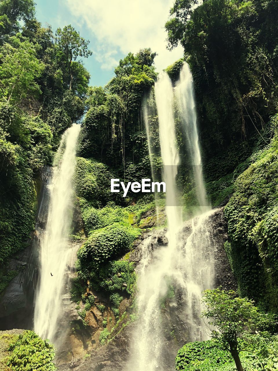 WATERFALL IN FOREST