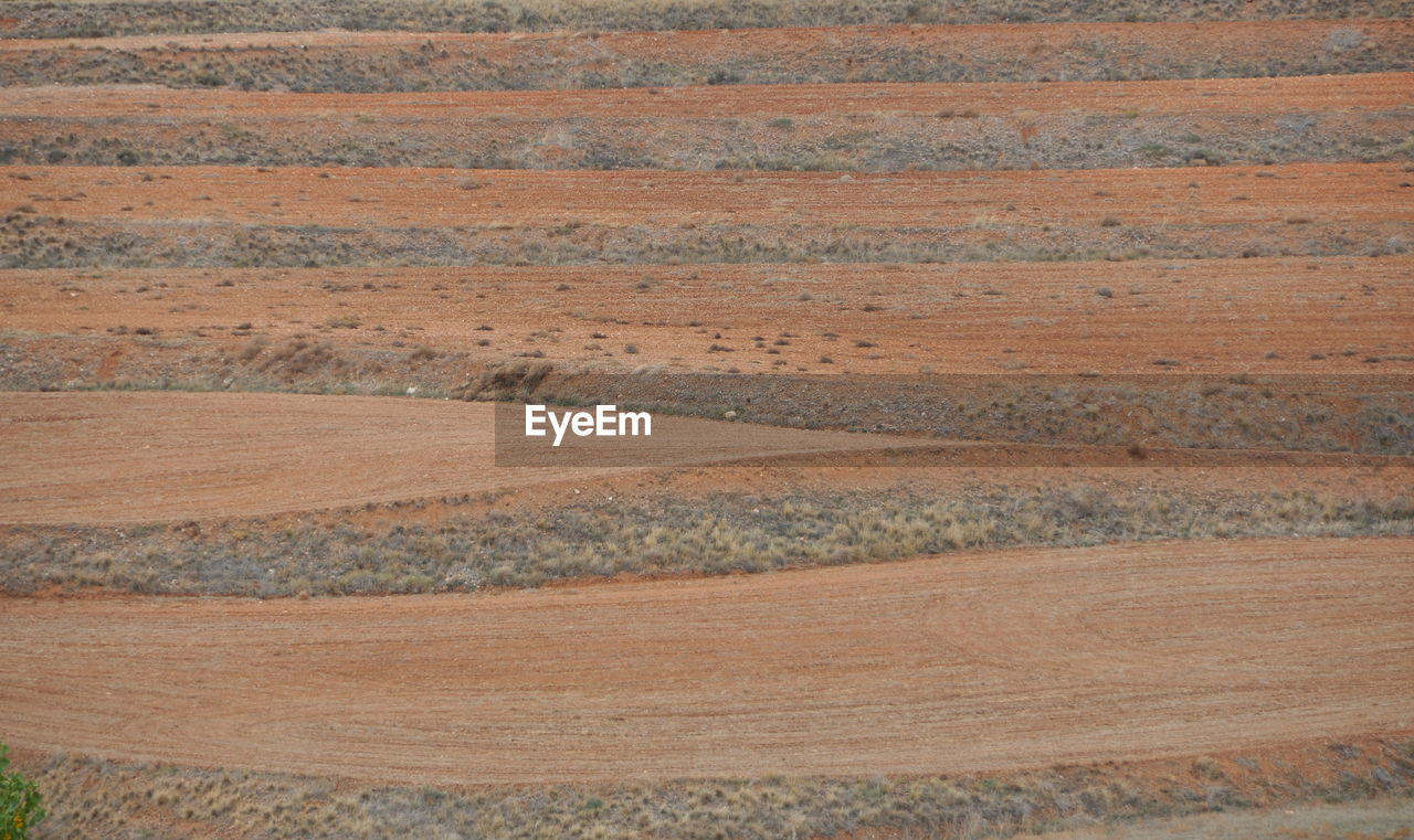 FULL FRAME SHOT OF AGRICULTURAL FIELD