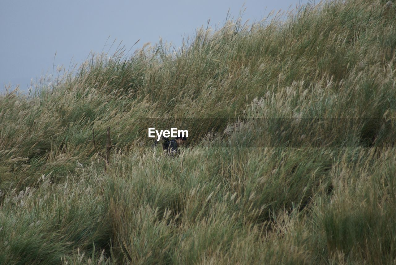 Man climbing mountain amidst grass