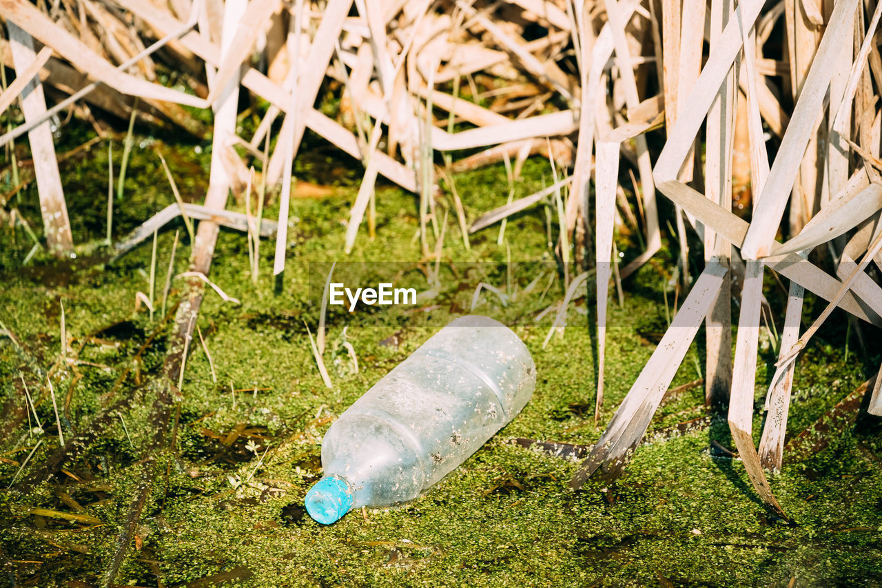 CLOSE-UP OF GARBAGE CAN IN GRASS