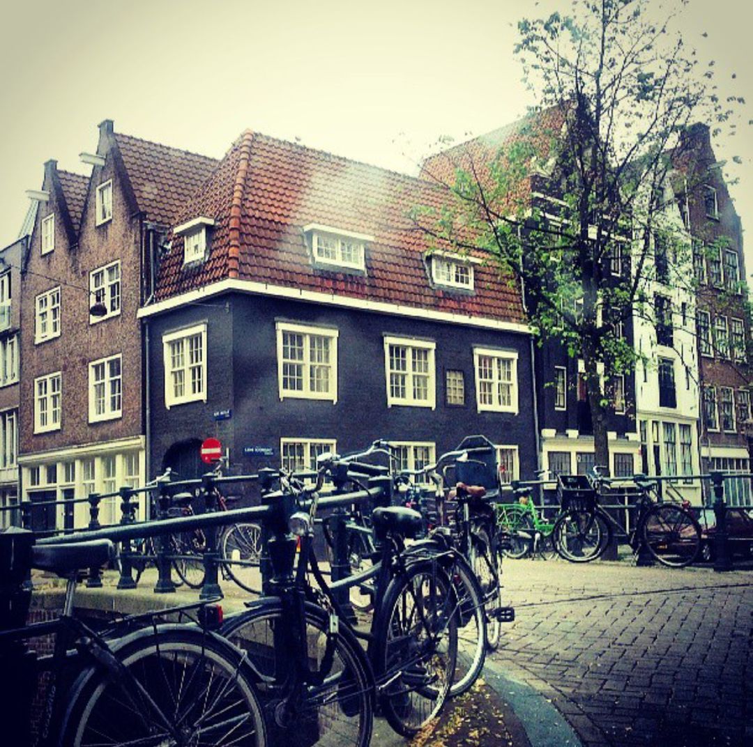 Bicycles parked on street by buildings