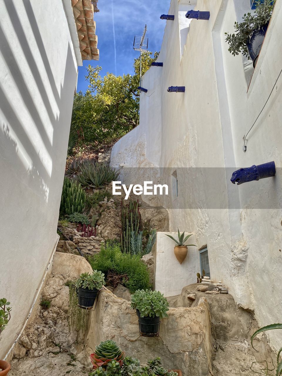 architecture, wall, plant, nature, built structure, building exterior, day, high angle view, building, no people, water, outdoors, house, sunlight