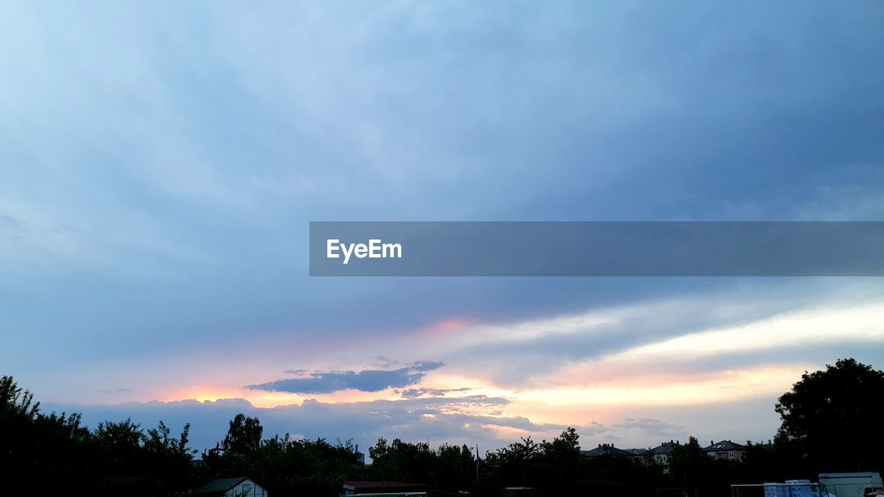 LOW ANGLE VIEW OF TREES AGAINST SKY DURING SUNSET