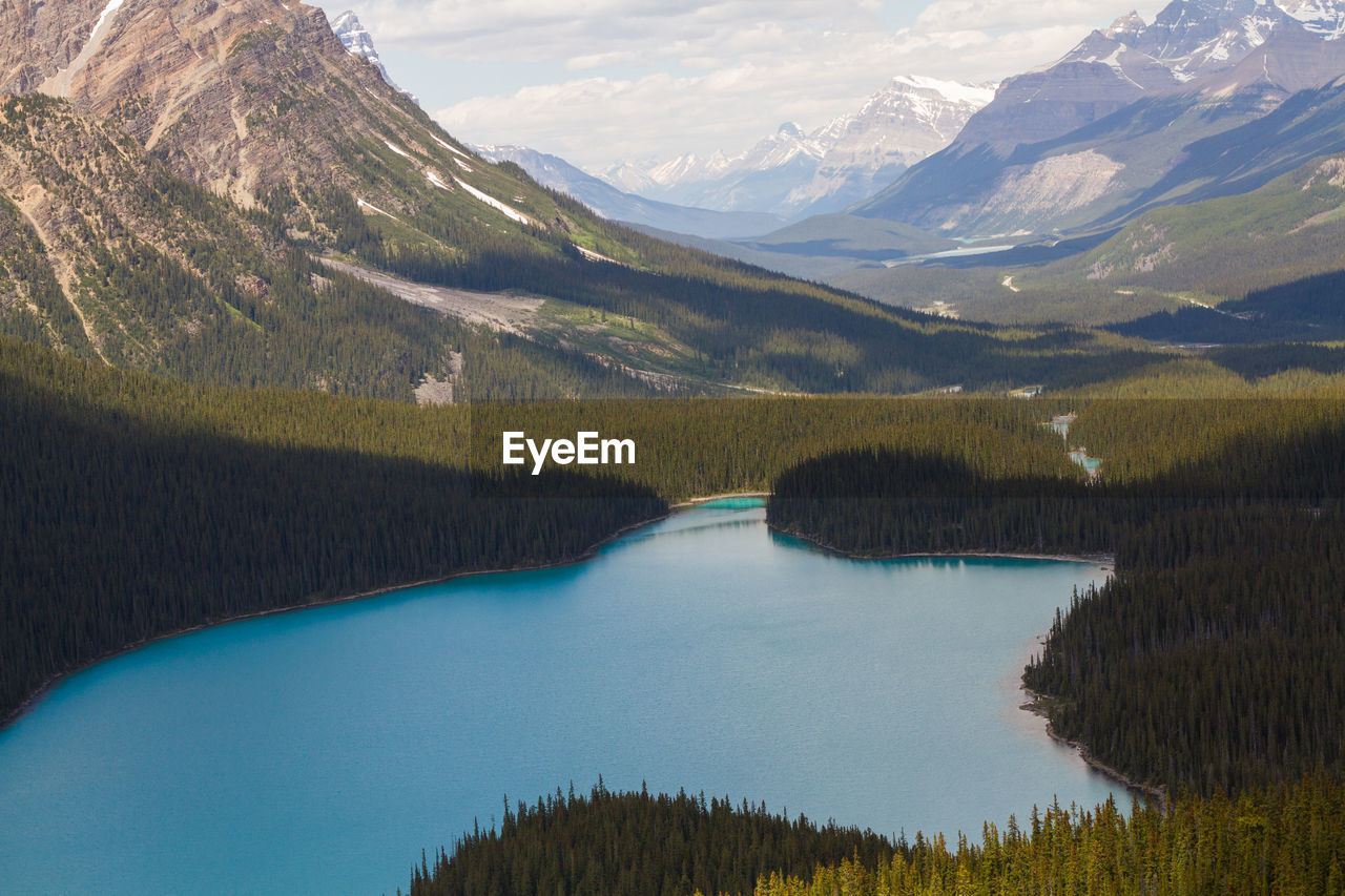 Peyto lake on the icefields parkway in alberta canada