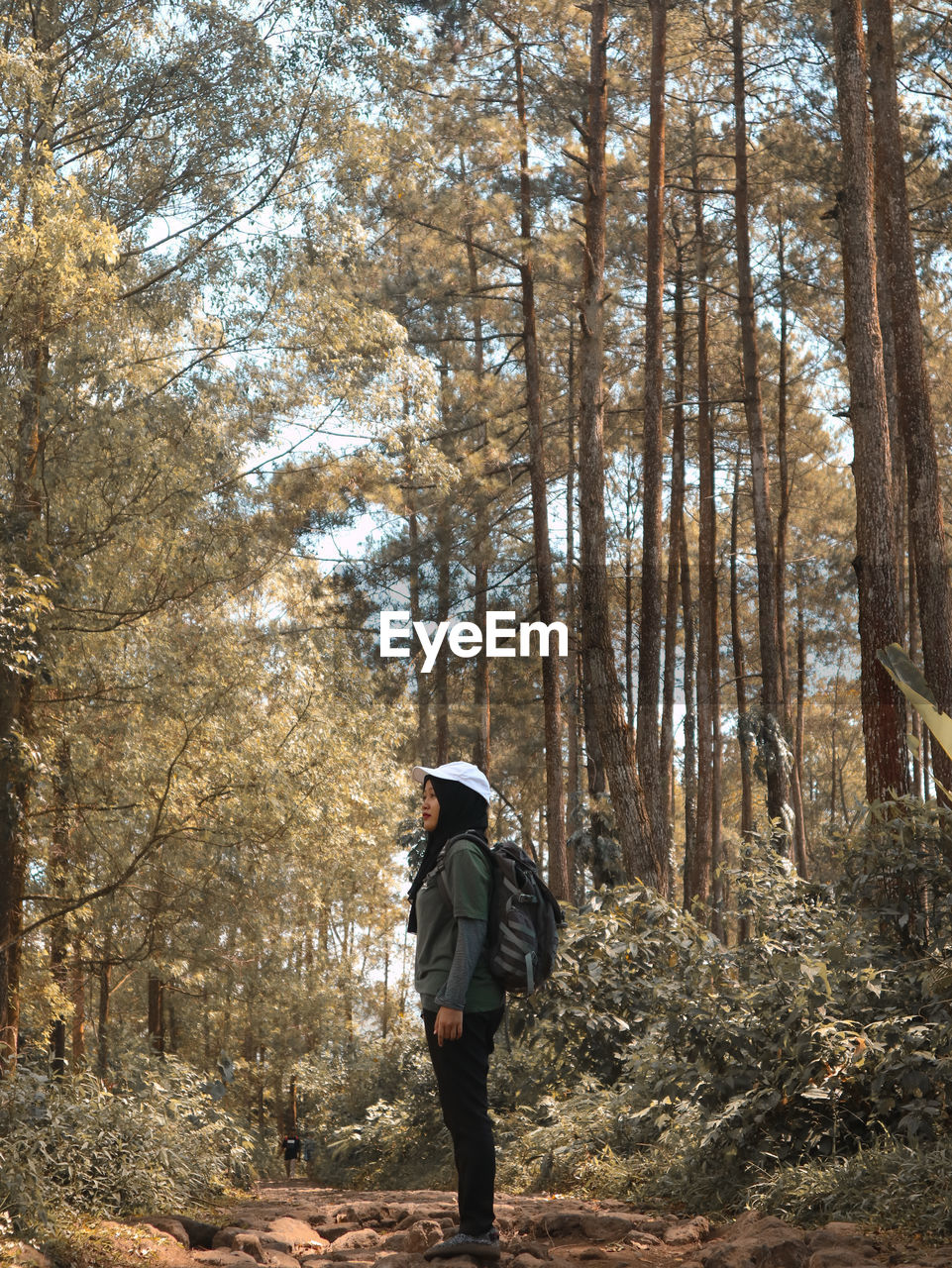 Rear view of woman walking in forest