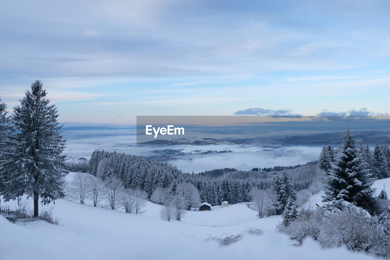 Scenic view of snow covered land against sky